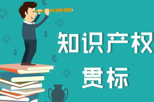 知识产权贯标排期长、认证慢怎么回事